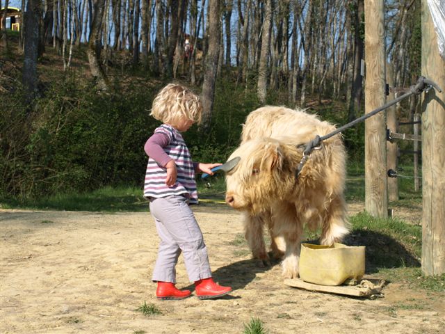 Domaine d'Escapa Midi-Pirenei - Estipouy visuel 4/10 Domaine d'Escapa Midi-Pirenei - Estipouy visuel 4/10