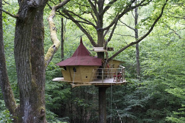 Domaine du Bois Landry Centro-Valle della Loira - Champrond-en-Gâtine visuel 9/9