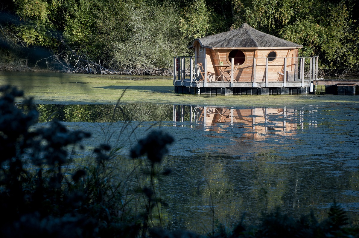 Domaine du Bois Landry Centro-Valle della Loira - Champrond-en-Gâtine visuel 8/9