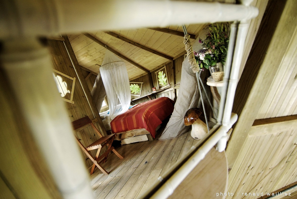 Domaine du Bois Landry Centro-Valle della Loira - Champrond-en-Gâtine visuel 5/9