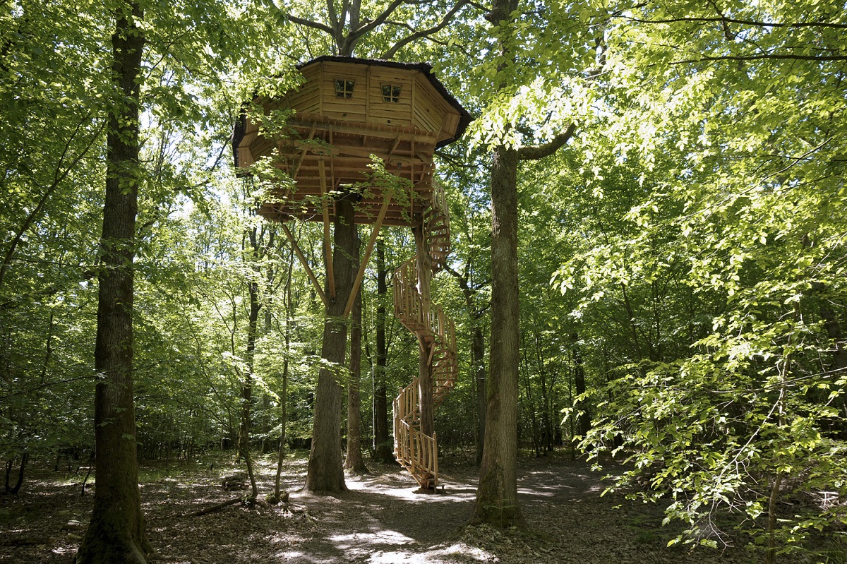 Domaine du Bois Landry Centro-Valle della Loira - Champrond-en-Gâtine visuel 6/9