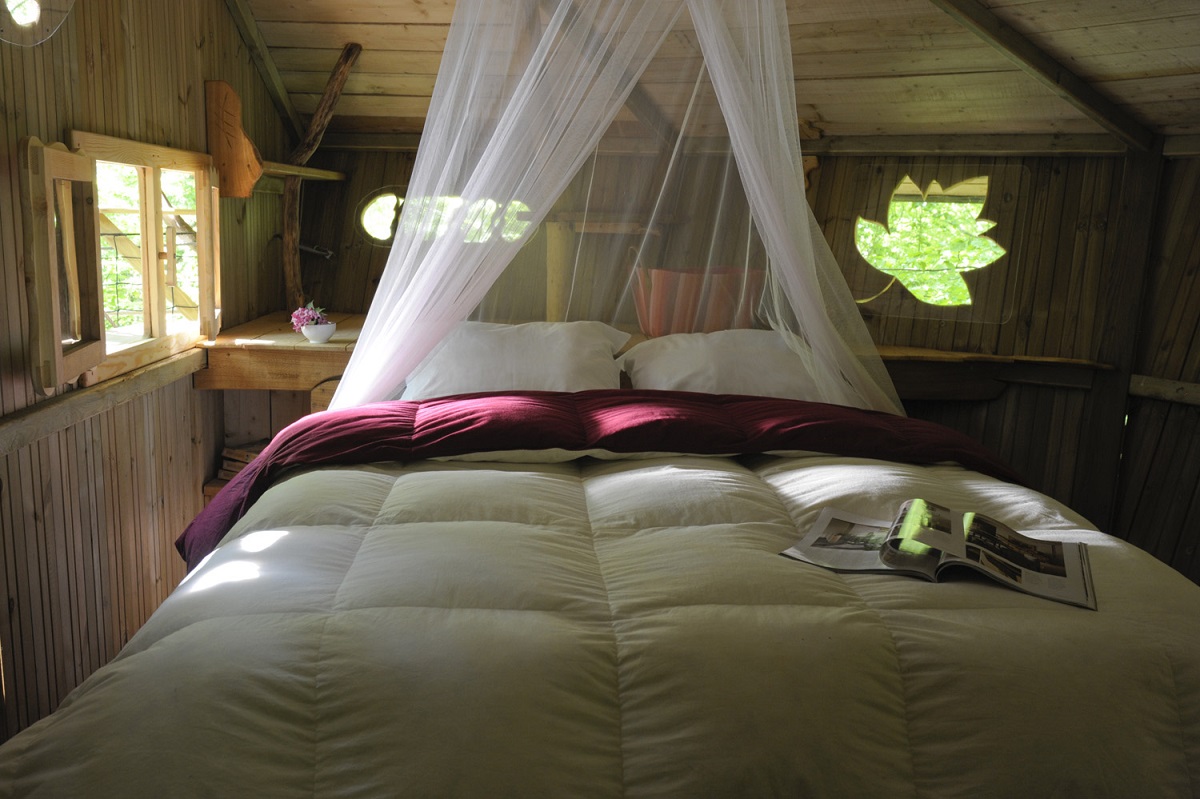 Domaine du Bois Landry Centro-Valle della Loira - Champrond-en-Gâtine visuel 7/9