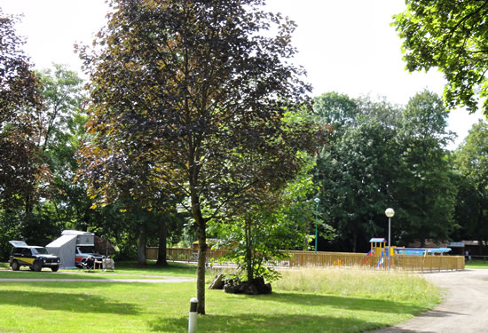 Domaine du Buisson Champagne-Ardenne - Louvemont visuel 2/10