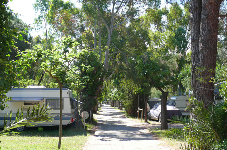 Domaine du Ceinturon III Provenza-Alpi-Costa Azzurra - Hyères visuel 3/9 Domaine du Ceinturon III Provenza-Alpi-Costa Azzurra - Hyères visuel 3/9