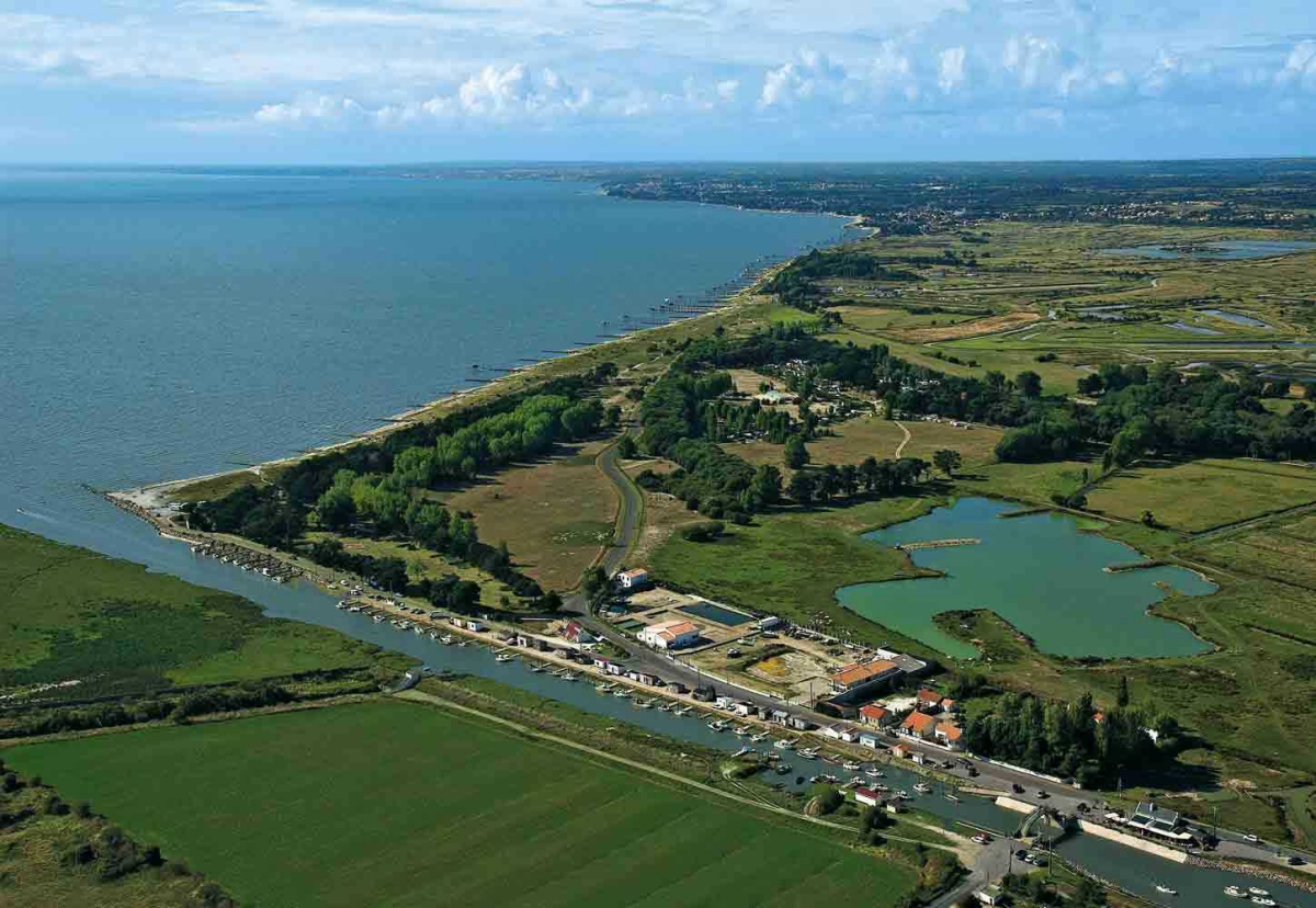 Domaine du Collet Paesi della Loira - Les Moutiers en Retz visuel 12/15 Domaine du Collet Paesi della Loira - Les Moutiers en Retz visuel 12/15