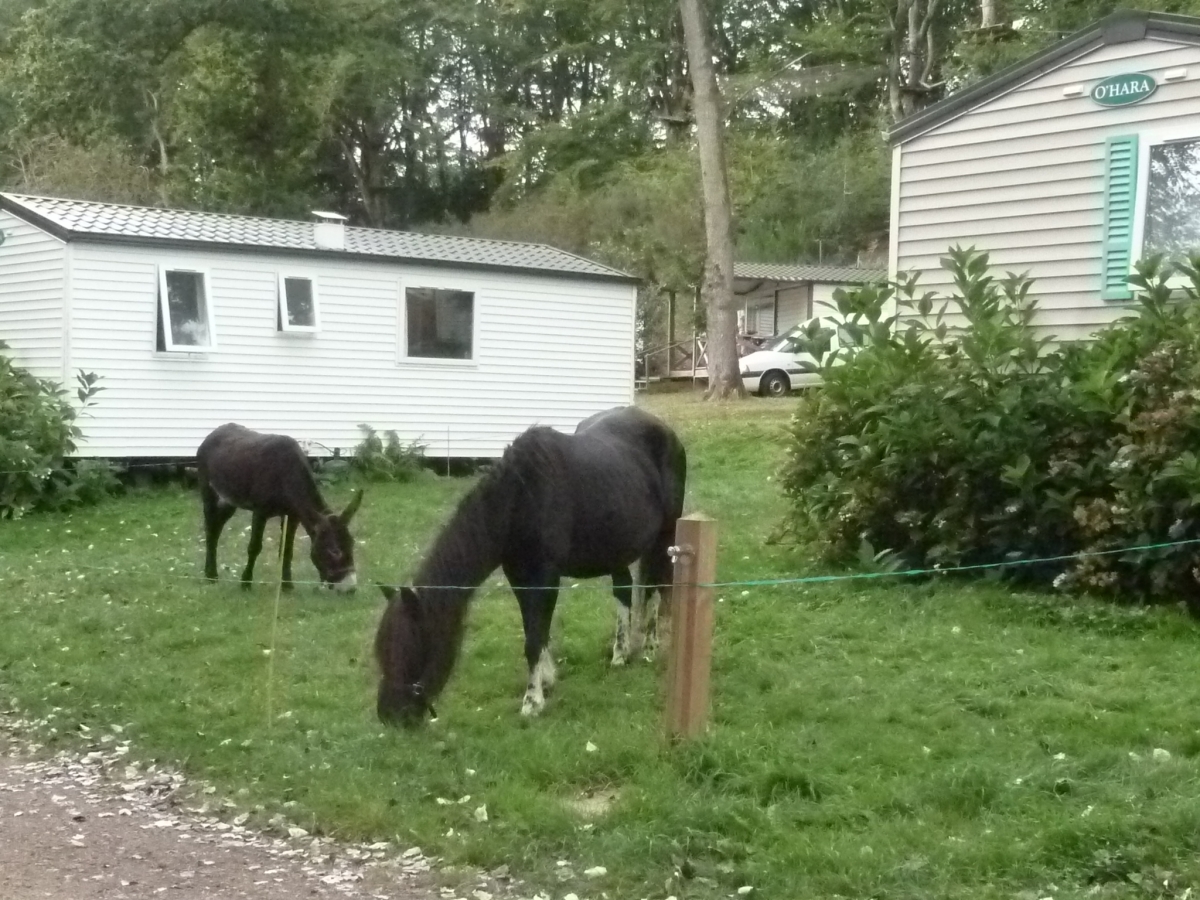 Domaine du Roc Bretagna - Le Roc-Saint-André visuel 7/9 Domaine du Roc Bretagna - Le Roc-Saint-André visuel 7/9