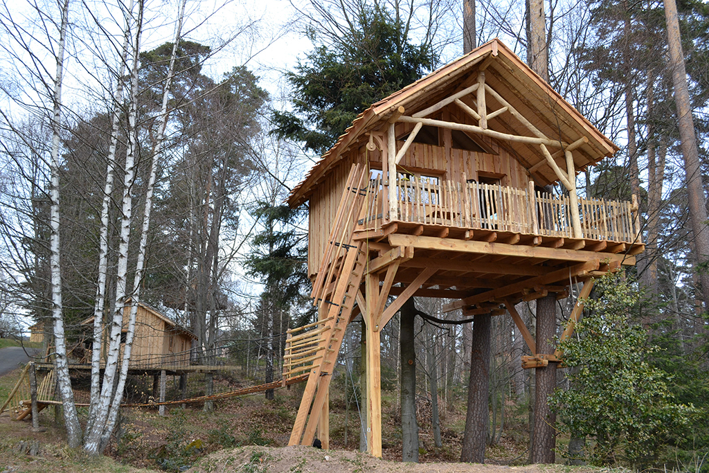 Domaine Hauts de Ribeauvillé Alsazia - Aubure visuel 1/10 Domaine Hauts de Ribeauvillé Alsazia - Aubure visuel 1/10