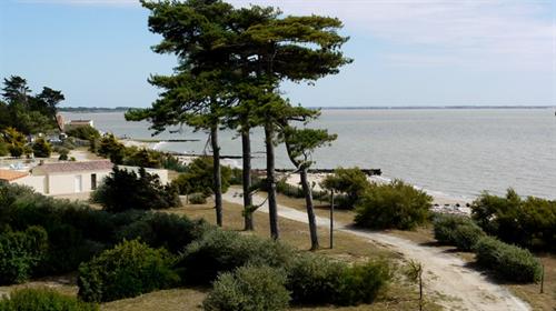 La Plage Paesi della Loira - Les Moutiers en Retz visuel 4/10 La Plage Paesi della Loira - Les Moutiers en Retz visuel 4/10