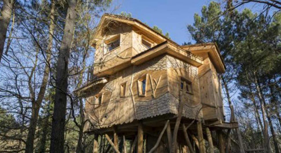 Domaine Le Bois aux Daims Poitou-Charentes - Morton visuel 2/10 Domaine Le Bois aux Daims Poitou-Charentes - Morton visuel 2/10