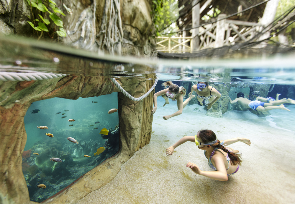 Domaine Le Bois aux Daims Poitou-Charentes - Morton visuel 6/10 Domaine Le Bois aux Daims Poitou-Charentes - Morton visuel 6/10