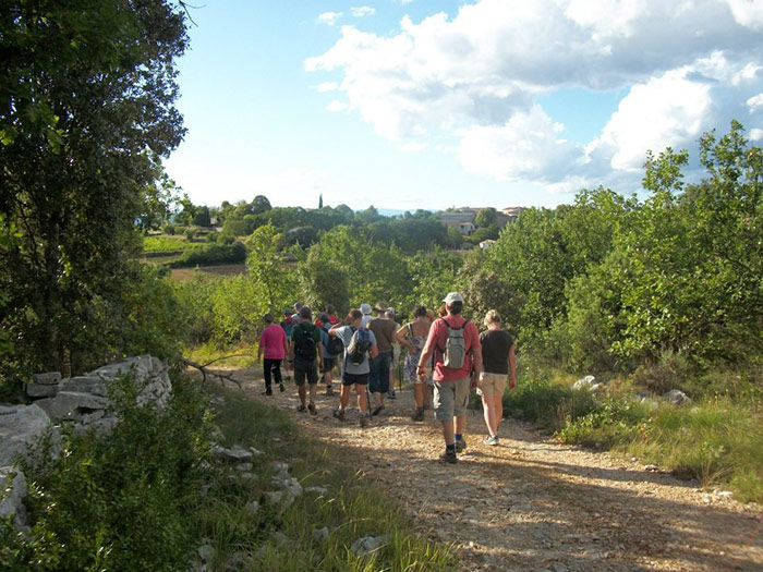 Domaine le Clos des Capitelles Linguadoca-Rossiglione - Saint-Privat-de-Champclos visuel 3/11