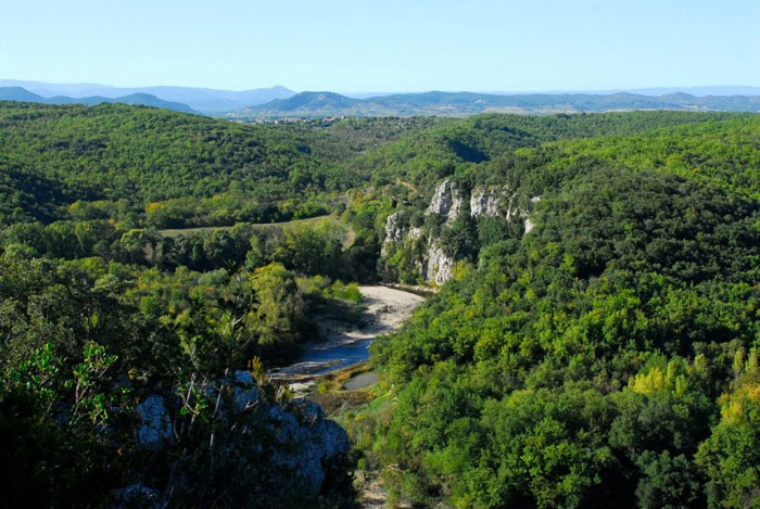 Domaine le Clos des Capitelles Linguadoca-Rossiglione - Saint-Privat-de-Champclos visuel 8/11