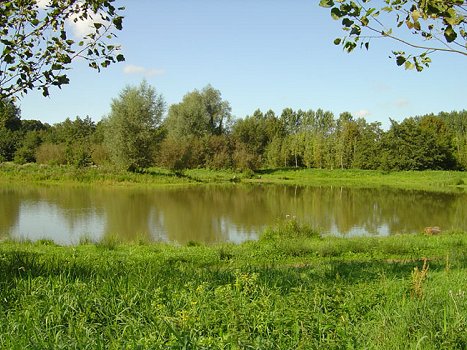 Domaine le Val du Ternois Nord-Passo di Calais - Frévent visuel 3/7 Domaine le Val du Ternois Nord-Passo di Calais - Frévent visuel 3/7