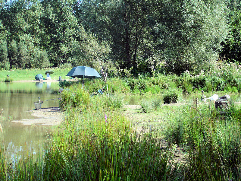 Domaine le Val du Ternois Nord-Passo di Calais - Frévent visuel 6/7 Domaine le Val du Ternois Nord-Passo di Calais - Frévent visuel 6/7