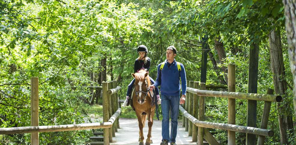 Domaine Les Hauts de Bruyères Centro-Valle della Loira - Chaumont-sur-Tharonne visuel 6/10 Domaine Les Hauts de Bruyères Centro-Valle della Loira - Chaumont-sur-Tharonne visuel 6/10
