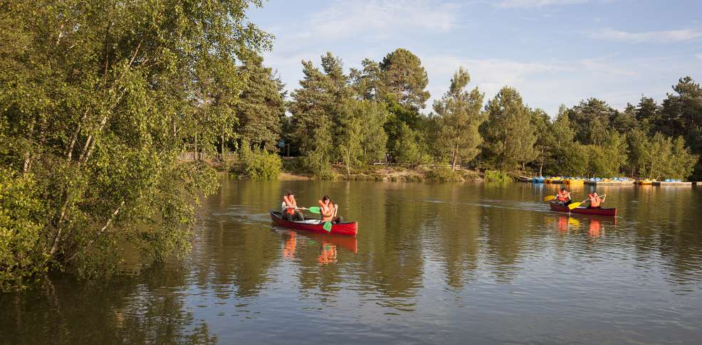 Domaine Les Hauts de Bruyères Centro-Valle della Loira - Chaumont-sur-Tharonne visuel 8/10 Domaine Les Hauts de Bruyères Centro-Valle della Loira - Chaumont-sur-Tharonne visuel 8/10