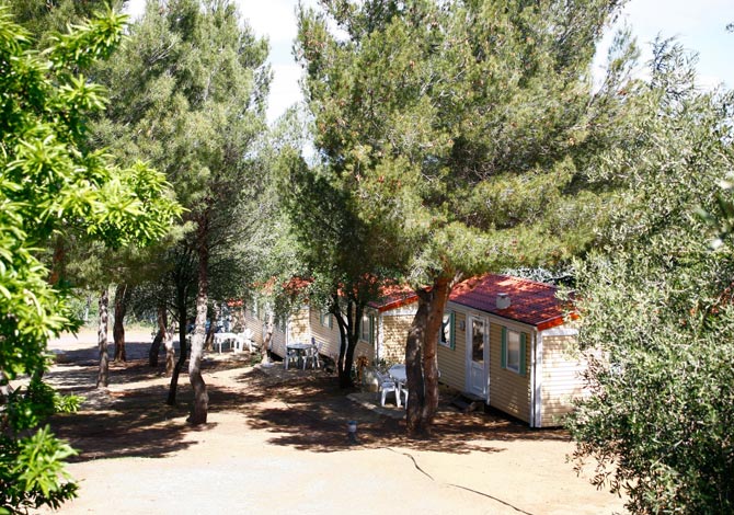 Domaine Résidentiel de plein-air La Pinède Linguadoca-Rossiglione - Agde visuel 9/21