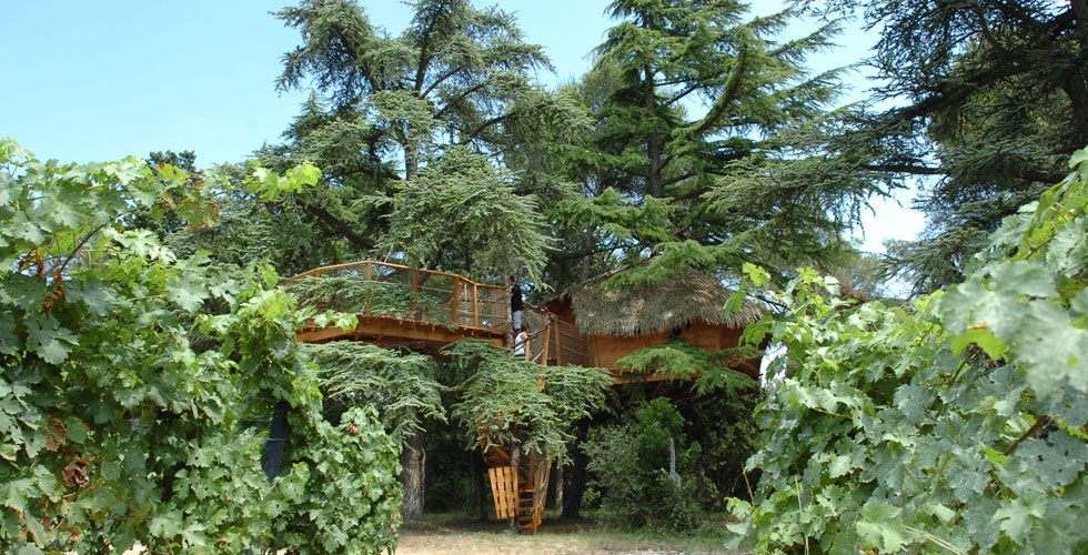 Domaine Saint Jean de l'Arbousier Linguadoca-Rossiglione - Castries visuel 2/11