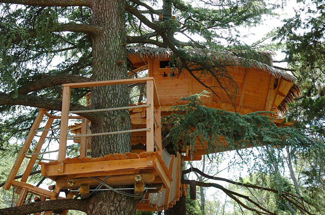 Domaine Saint Jean de l'Arbousier Linguadoca-Rossiglione - Castries visuel 5/11