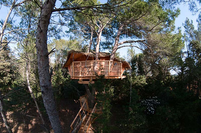 Domaine Saint Jean de l'Arbousier Linguadoca-Rossiglione - Castries visuel 6/11