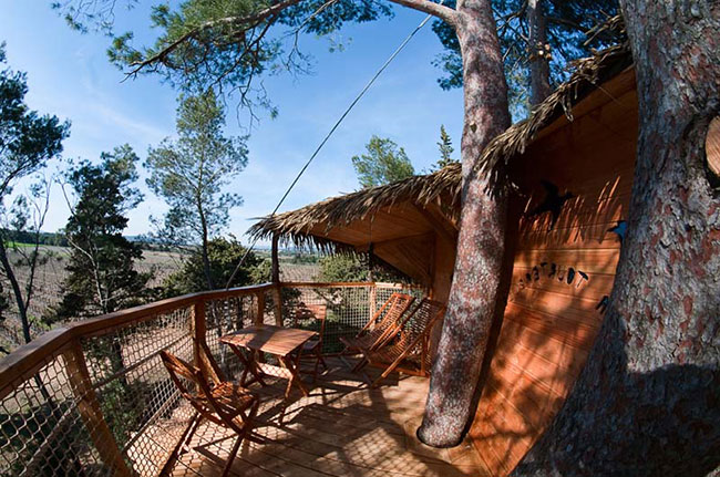 Domaine Saint Jean de l'Arbousier Linguadoca-Rossiglione - Castries visuel 7/11