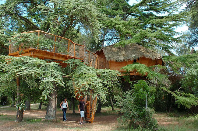 Domaine Saint Jean de l'Arbousier Linguadoca-Rossiglione - Castries visuel 8/11