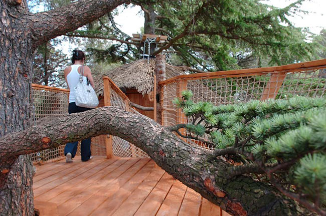 Domaine Saint Jean de l'Arbousier Linguadoca-Rossiglione - Castries visuel 9/11