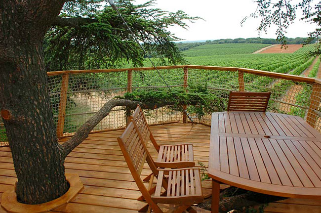 Domaine Saint Jean de l'Arbousier Linguadoca-Rossiglione - Castries visuel 10/11