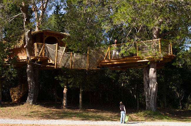 Domaine Saint Jean de l'Arbousier Linguadoca-Rossiglione - Castries visuel 11/11