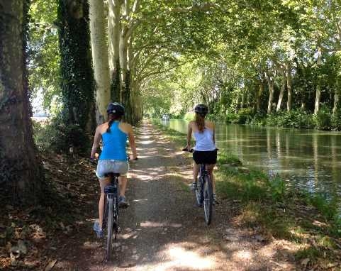 Domaine Saint Laurent Linguadoca-Rossiglione - Montferrand visuel 6/8 Domaine Saint Laurent Linguadoca-Rossiglione - Montferrand visuel 6/8