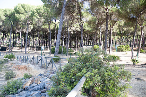 Doñarrayan Park Andalusia - Hinojos visuel 1/4