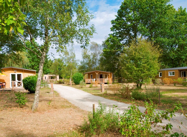 Camping du Lac de la Chausselière Paesi della Loira - La Guyonnière visuel 2/10