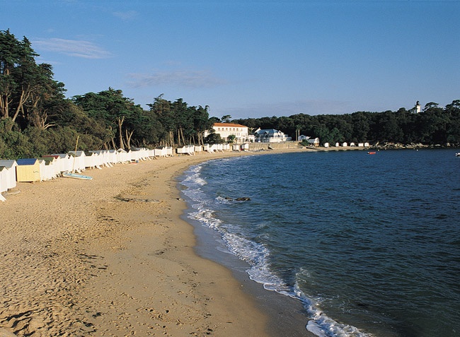 Camping du Lac de la Chausselière Paesi della Loira - La Guyonnière visuel 10/10