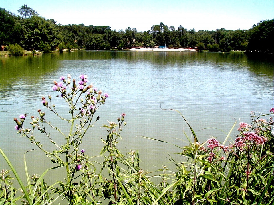 Camping du Lac de Neufont Aquitania - Saint-Amand-de-Vergt visuel 4/7 Camping du Lac de Neufont Aquitania - Saint-Amand-de-Vergt visuel 4/7