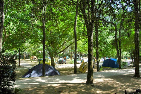 Camping du Pont d'Arc Rodano-Alpi - Vallon-Pont-d'Arc visuel 3/5