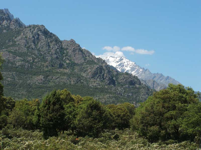 E Canicce Corsica - Moltifao visuel 5/12