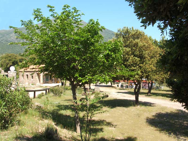 E Canicce Corsica - Moltifao visuel 6/12