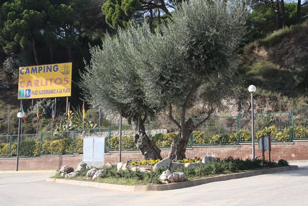 El Carlitos Costa Brava - Arenys de Mar visuel 5/7