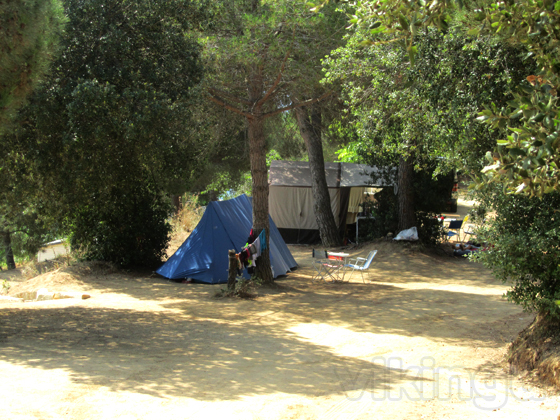 El Carlitos Costa Brava - Arenys de Mar visuel 7/7