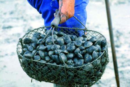 Eléovic Paesi della Loira - Pornic visuel 7/8