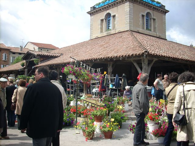 Camping en Salvan Midi-Pirenei - Vaudreuille visuel 6/8 Camping en Salvan Midi-Pirenei - Vaudreuille visuel 6/8