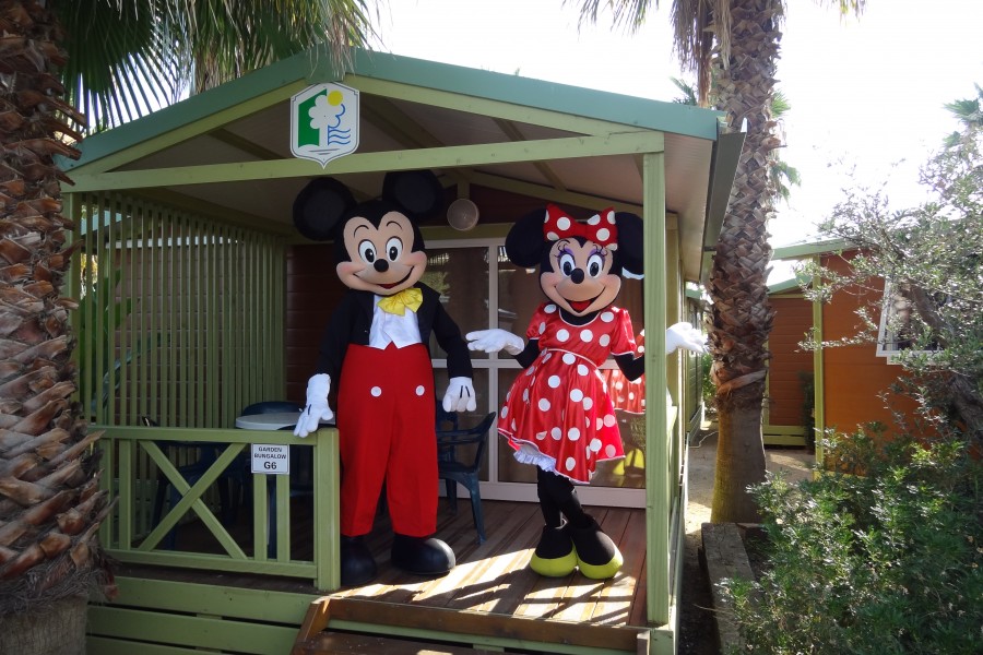 Enmar Costa Brava - Pineda de Mar visuel 4/10