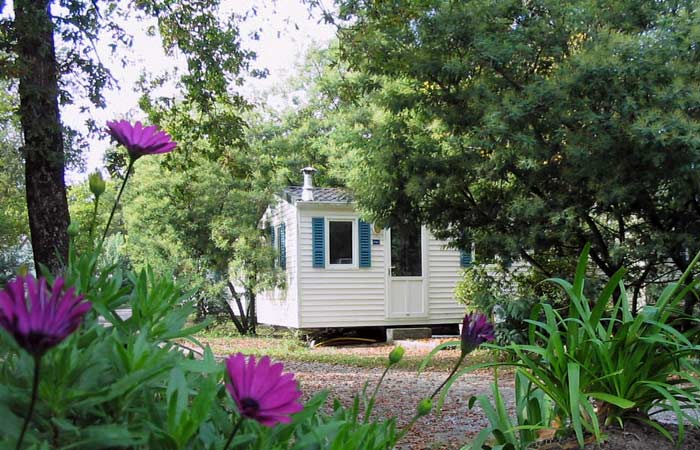 Espace Blue Océan Aquitania - Ondres visuel 27/30