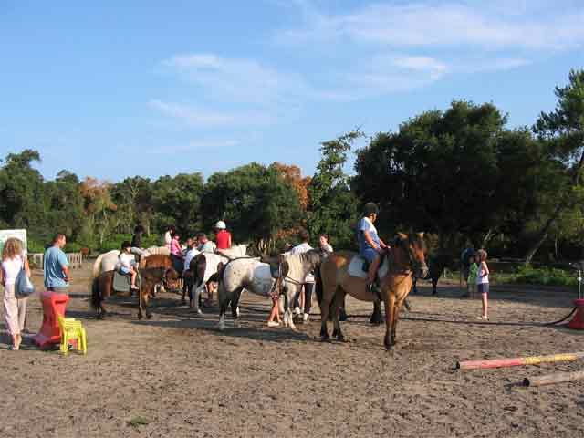 Espace Blue Océan Aquitania - Ondres visuel 21/30