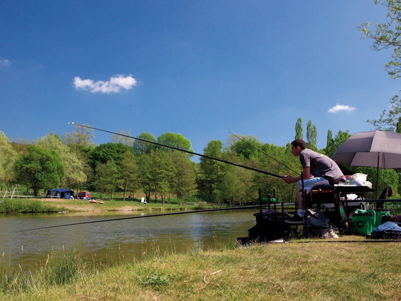 Etang de la Fougeraie Bourgogne - Saint-Léger-de-Fougeret visuel 7/10
