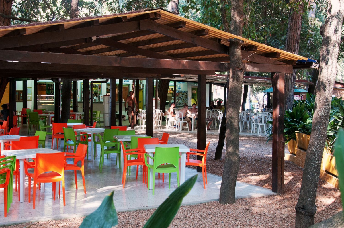 Etruria Toscana - Castagneto Carducci visuel 6/7