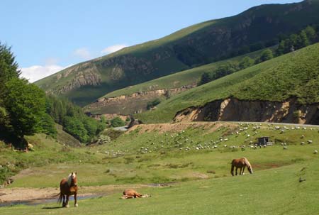 Europ'Camping Aquitania - Ascarat visuel 14/14