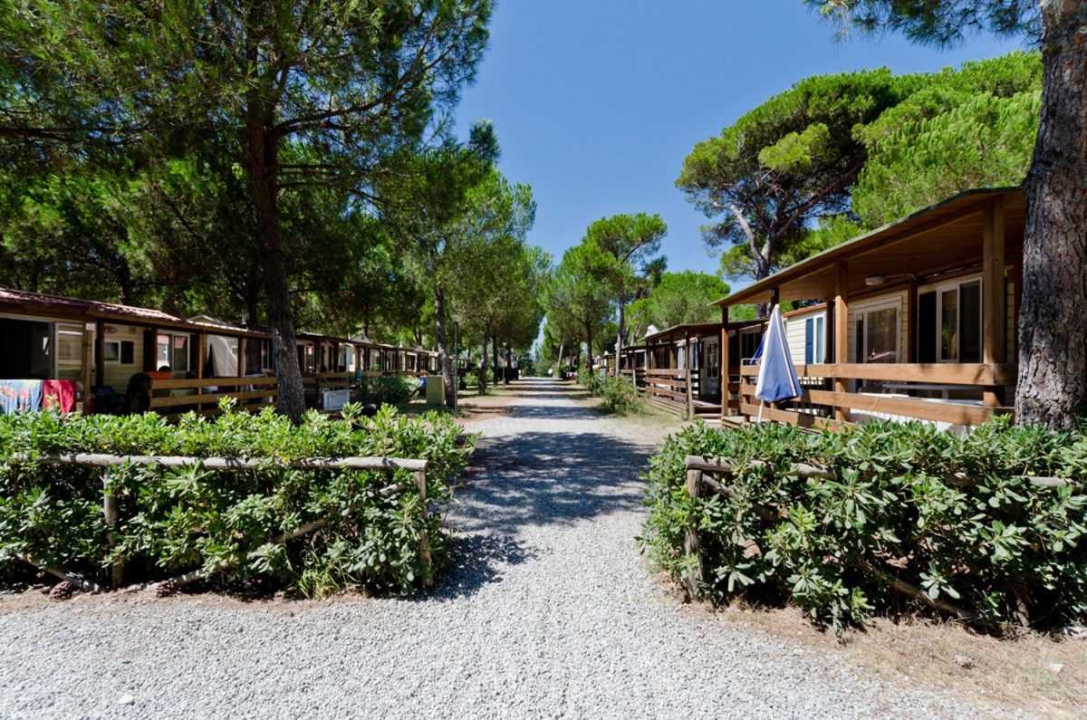 Europing Lazio - Tarquinia visuel 4/12