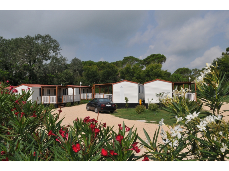 Falconera Veneto - Caorle visuel 5/10