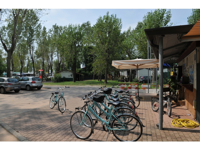 Falconera Veneto - Caorle visuel 8/10